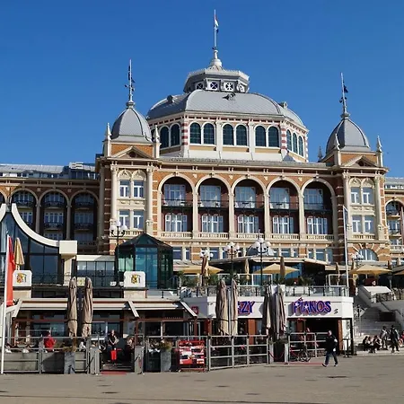 Scheveningen Diamond View And Harbour Daire